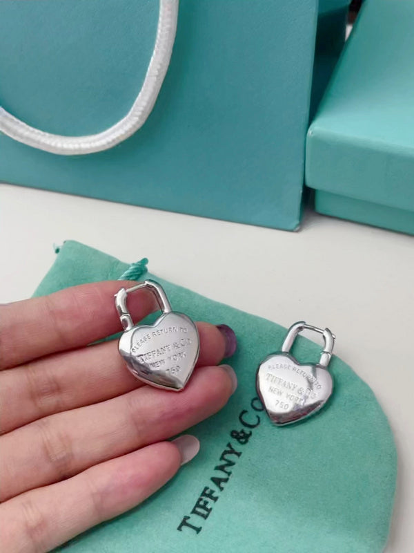 A1153 Women's titanium steel earrings and jewelry