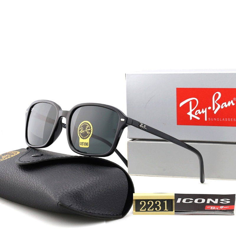 2231  Sunglasses with box