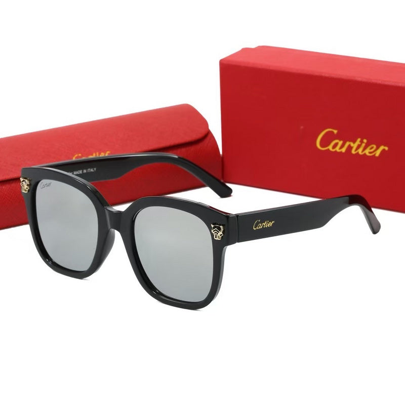 0376  Sunglasses with box