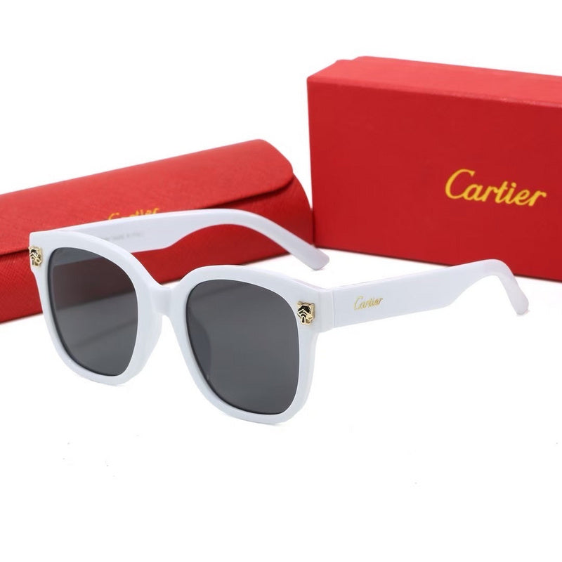 0376  Sunglasses with box